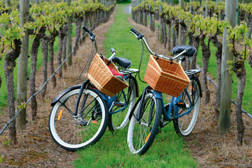affordable niagara on the lake cycling wine tours